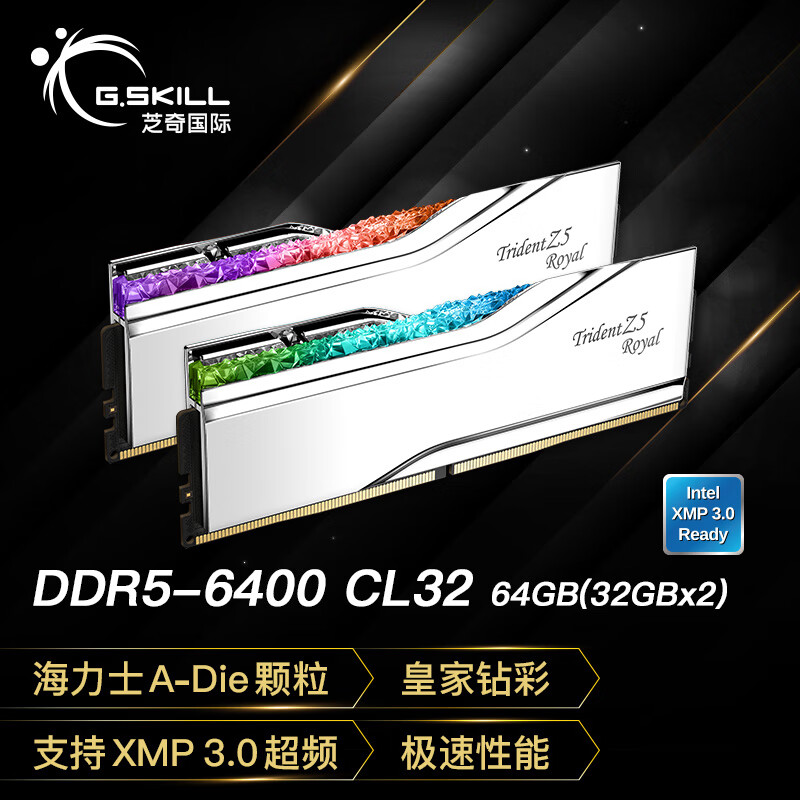 G.SKILL芝奇（G.SKILL）64GB(32Gx2)套装 DDR5 6400频率 台式机内存条-皇家戟RGB灯条/C32