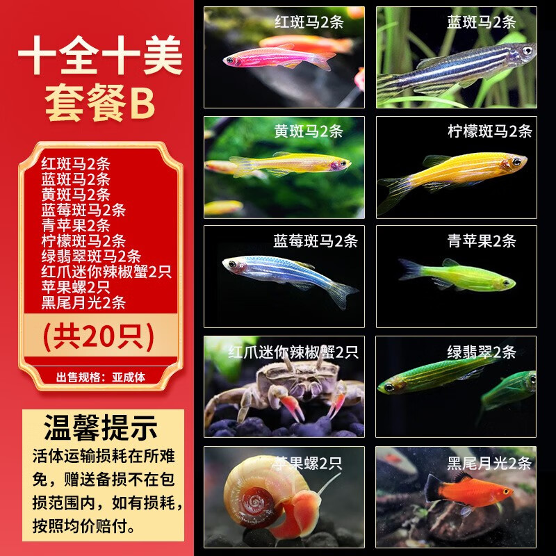 查水族活体价格历史|水族活体价格历史