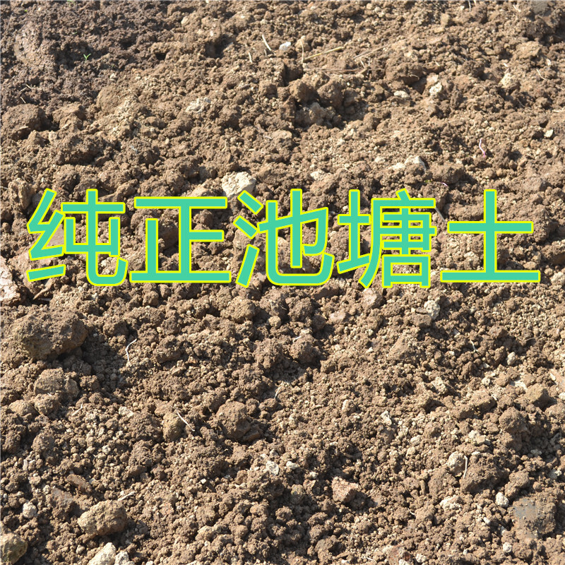 营养土种植土有机土泥土池塘土花土种菜土荷塘泥20斤50斤/1吨 江苏省内50斤