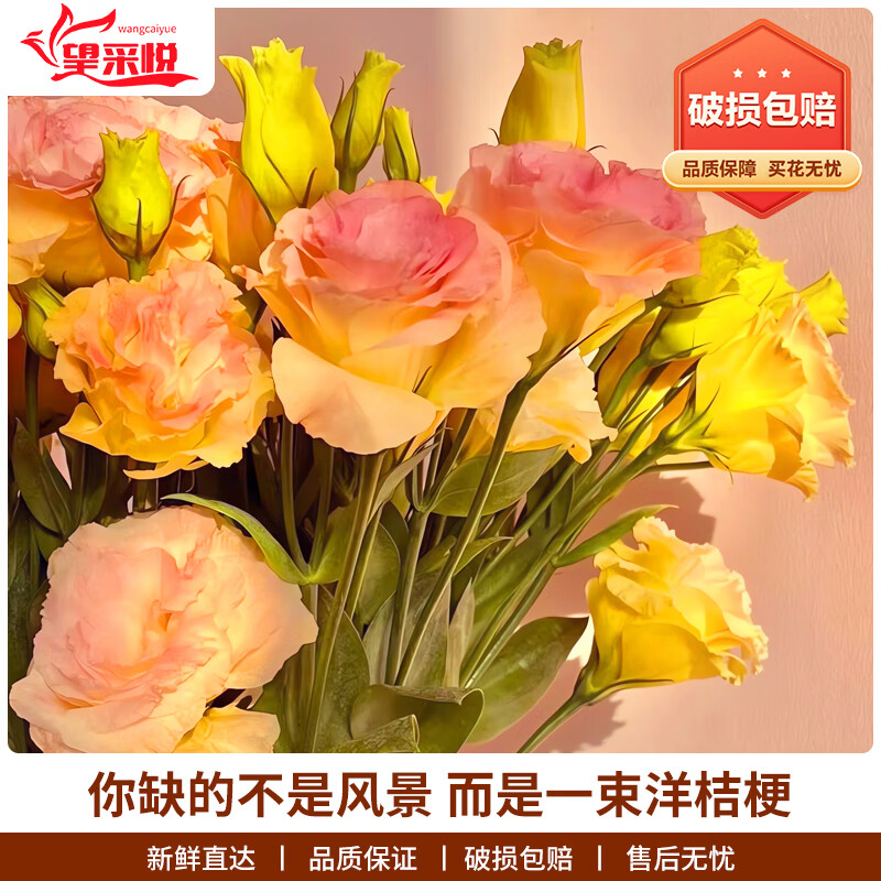 手机生活鲜花价格波动网|生活鲜花价格比较