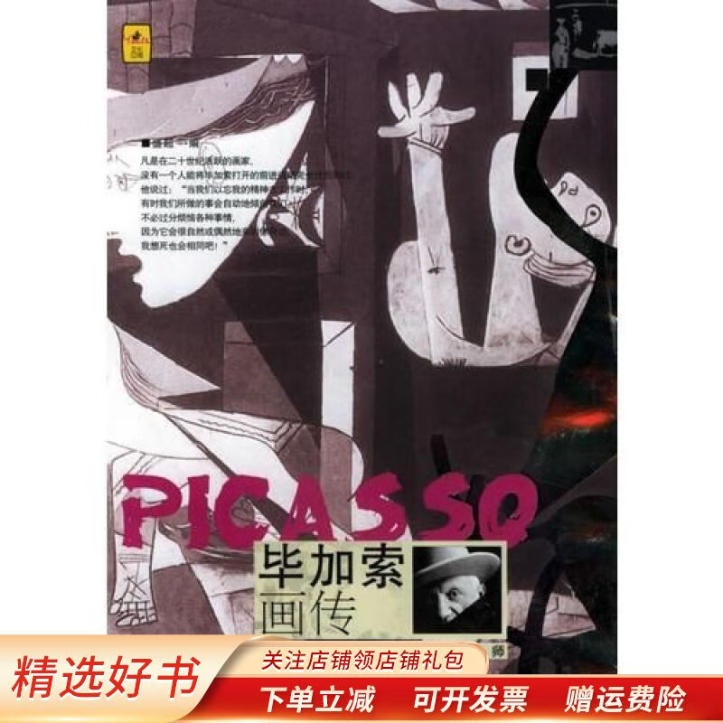 毕加索画传 盛超