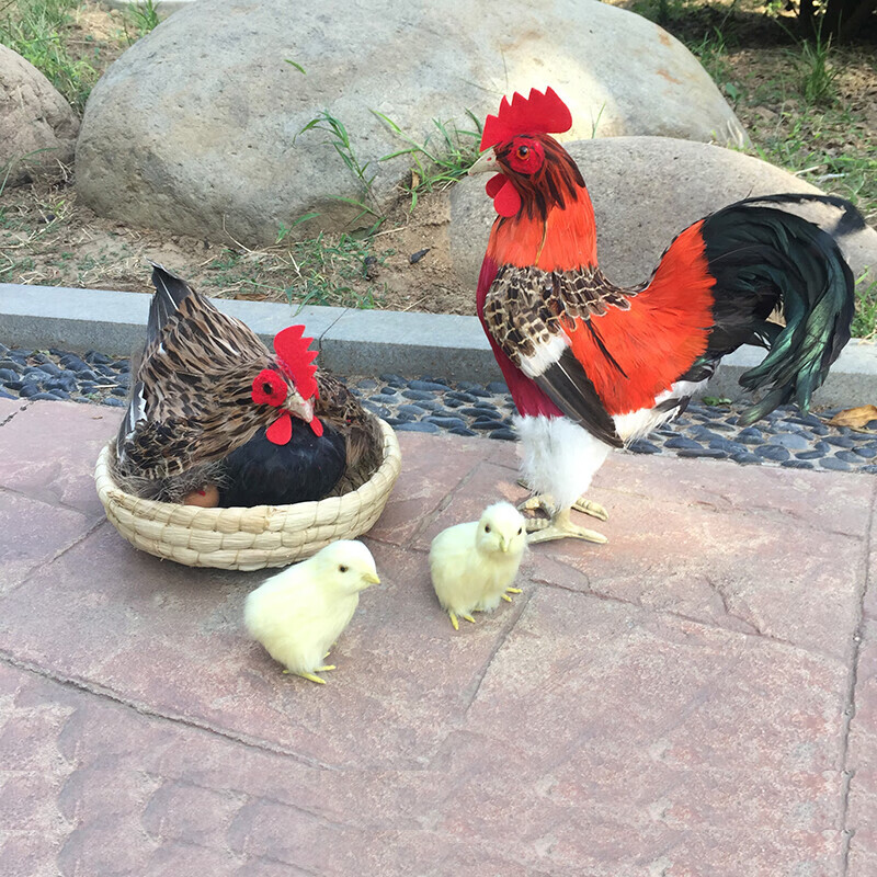 好沐音(haomuyin)会叫大公鸡羽毛玩具动物标本仿真孵蛋母鸡模型摆件