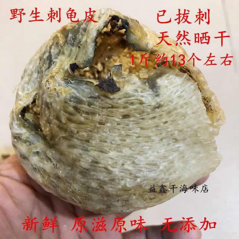 芬氏 北海特产 已拔刺无刺刺龟鱼皮 野海蒱刺豚鱼皮 海胆皮干货 大号