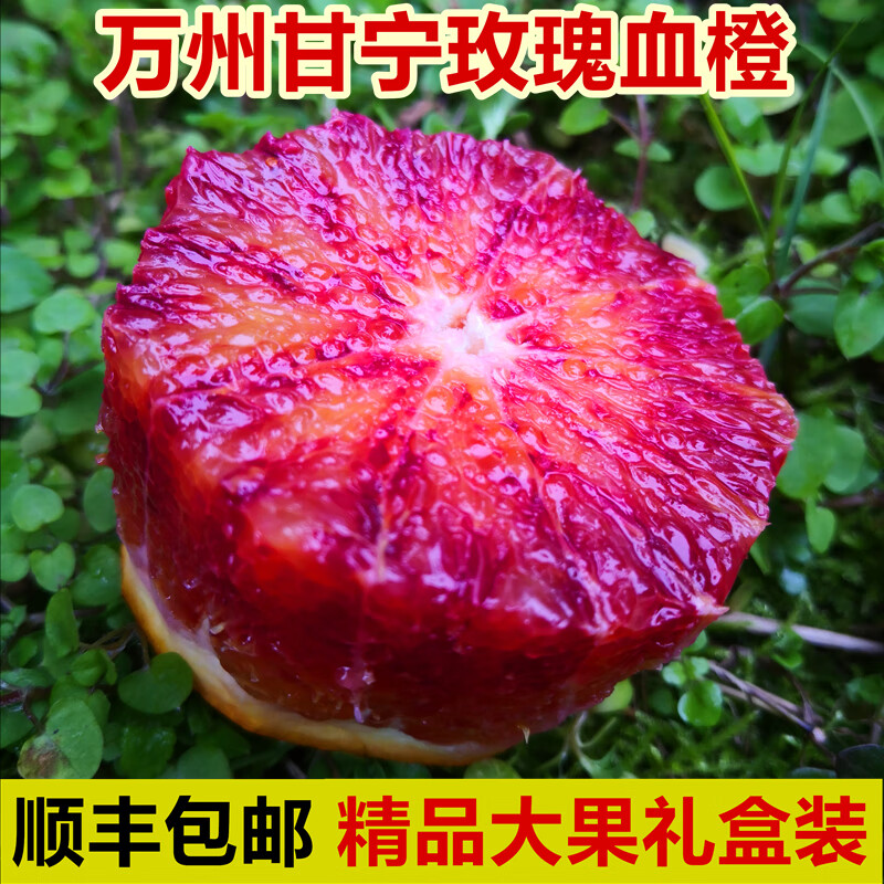 玫栀塔罗科血橙新鲜水果橙子四川重庆长寿湖红心雪橙 9斤 70mm(含)