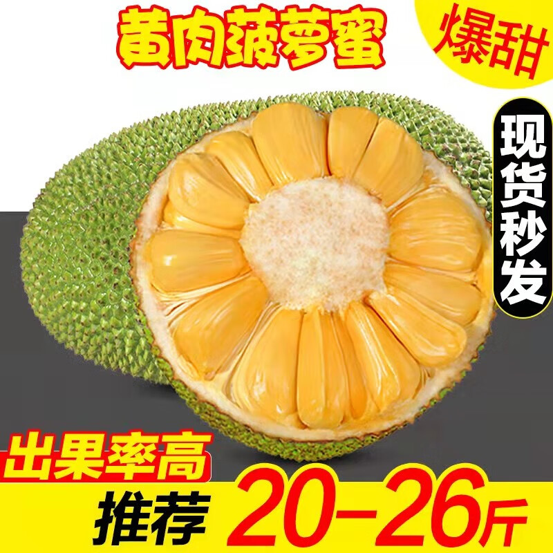 鲜贡园 大果海南黄肉菠萝蜜25-30斤一整个新鲜当季热带木波罗蜜生鲜水果