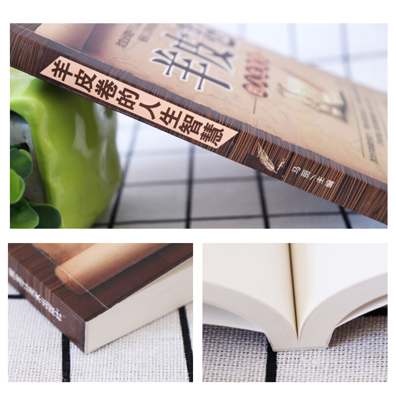 处世哲学经典心理书籍：羊皮卷的人生智慧详情图