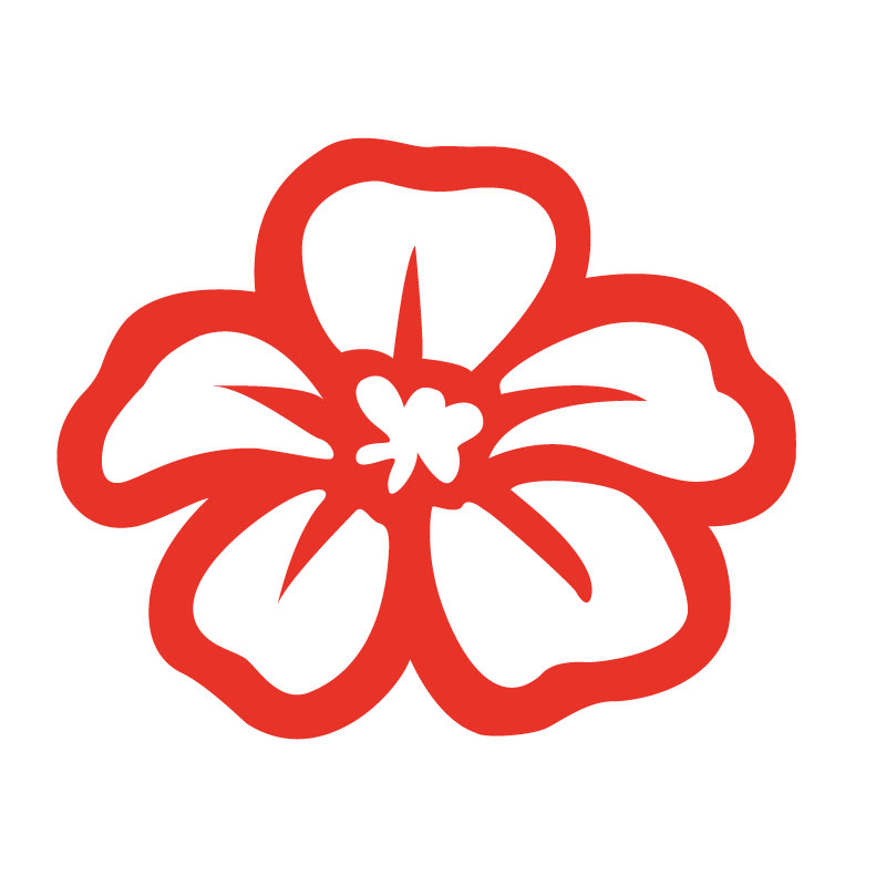 vanmiizoo 儿童易烊千玺送你一朵小红花印章卡通小印章教师用评语奖励