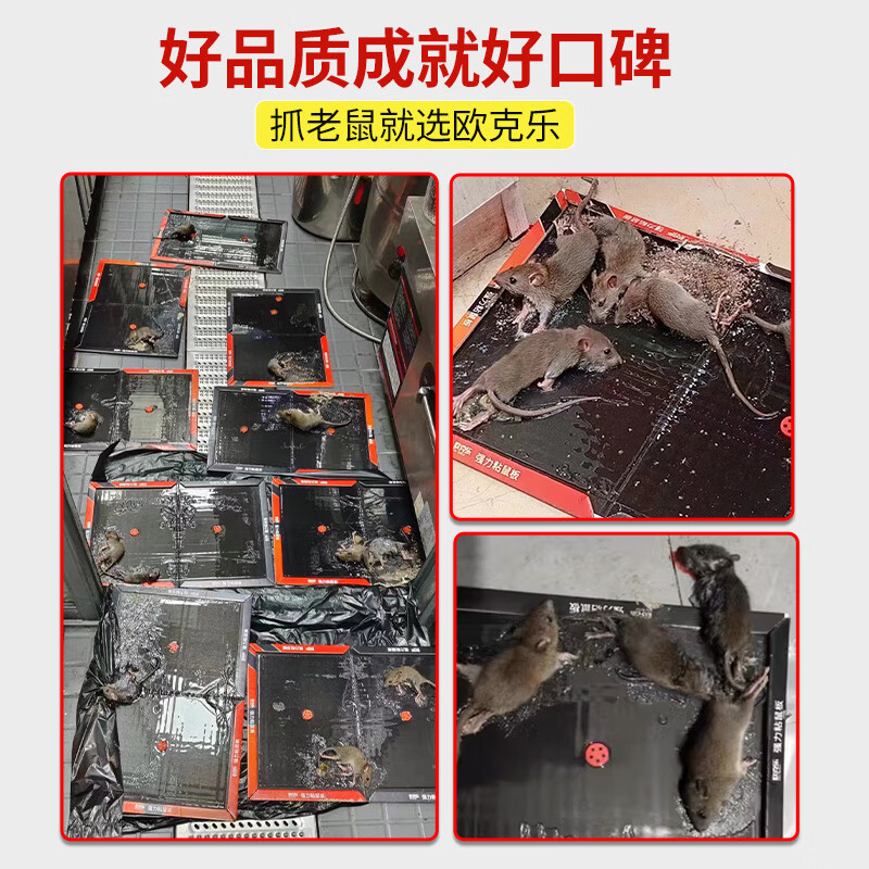 欧克乐（Ou Ke le）超强力粘鼠板老鼠笼老鼠贴加大加厚商用家用灭鼠器抓捕老鼠神器 5张装 升级加大尺寸43*30厘米