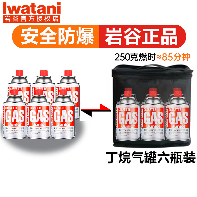 岩谷（Iwatani）多功能家用喷枪烧烤烘焙瓦斯卡式炉气罐点火器便携喷火枪头防爆 YG120g*6瓶+收纳包