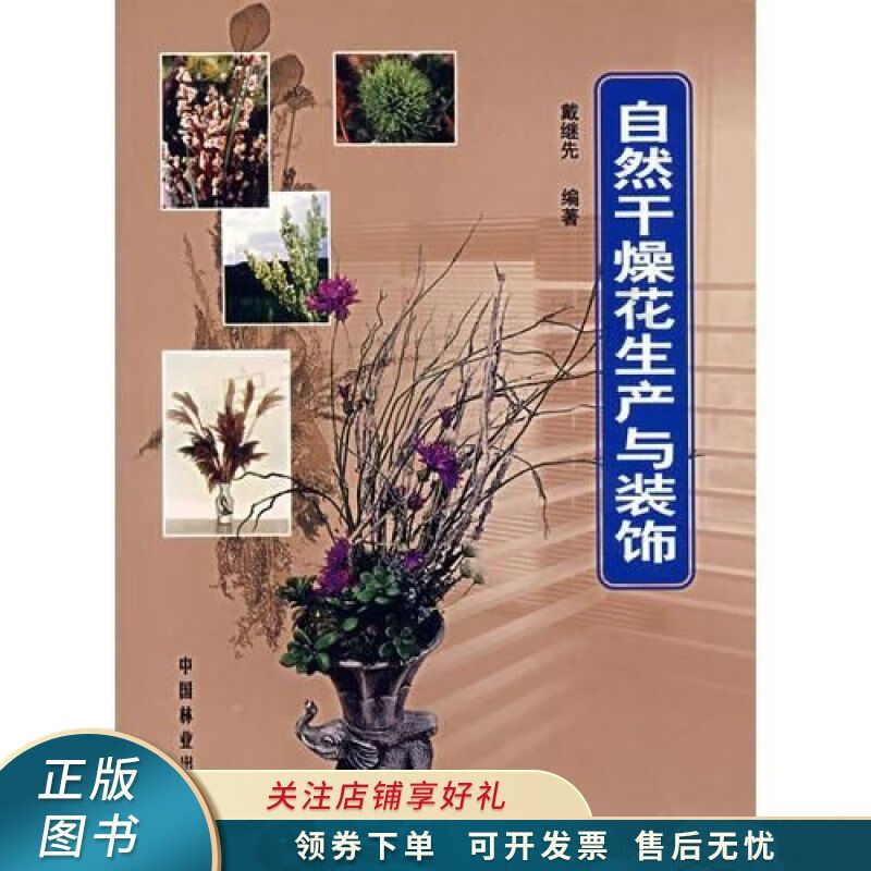 自然干燥花生产与装饰 戴继先