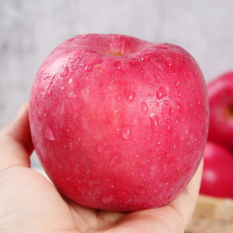 静宁苹果 甘肃红富士苹果 现摘当季新鲜水果苹果 12枚70净重4斤宝宝果