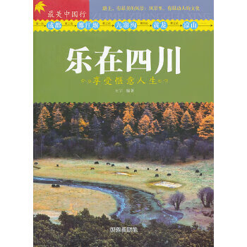 二手最美中国行 王宇 编著 9787801688194 9成新