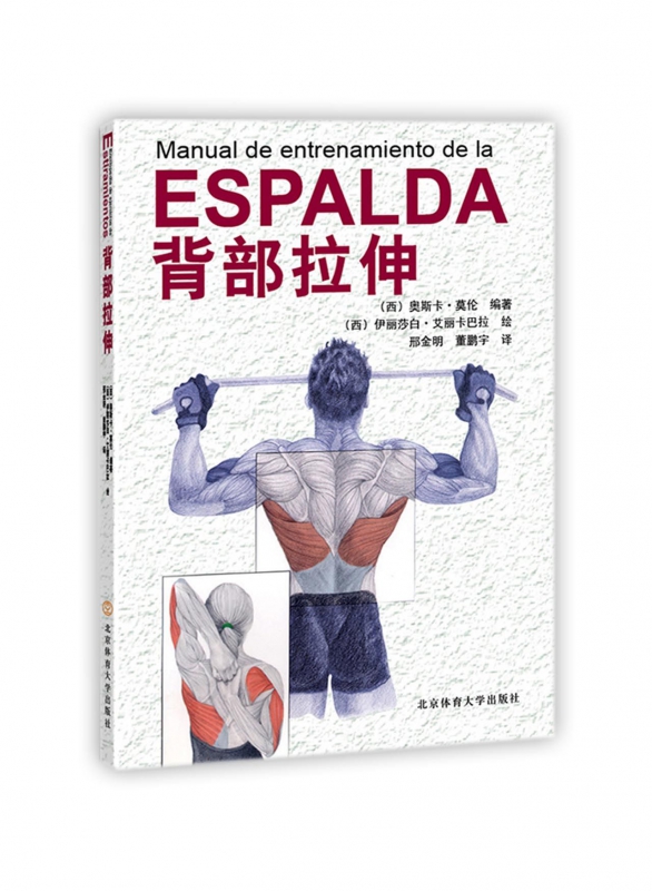 背部拉伸