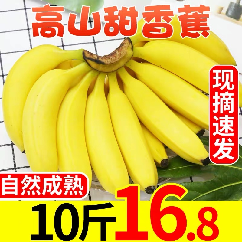 云南香蕉自然熟 带箱10斤 当季新鲜水果 整箱批发高原甜香蕉 优选香蕉 净重9斤（30%人选)