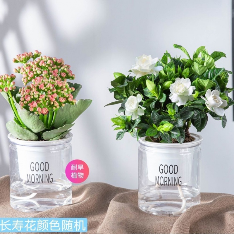 花室 相关京东优惠商品推荐降序排行榜 价格图片品牌优惠券 虎窝购 花室 相关京东优惠商品推荐降序排行榜 价格图片品牌优惠券 虎窝购