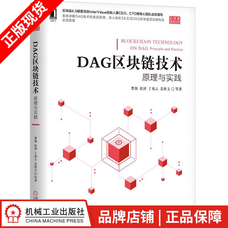 【特】DAG区块链技术：原理与实践 曹源 张翀 丁兆云 马行空|231906