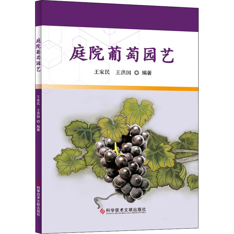 庭院葡萄园艺 王家民,王洪国 著 种植业