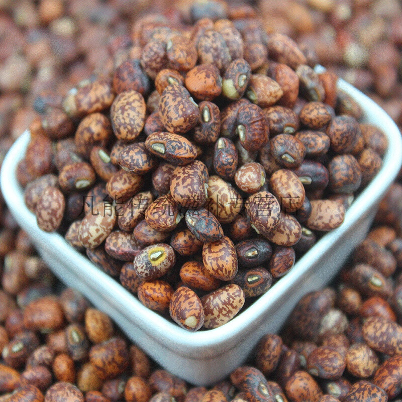 麻豇豆5斤 农家小麻豆麻豇豆江豆梨花豇豆姜豆饭豆 五谷杂粮