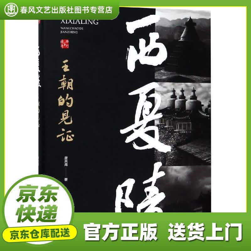 【正版图书 京东配送】西夏陵：王朝的见证 唐荣尧 中国地图出版社