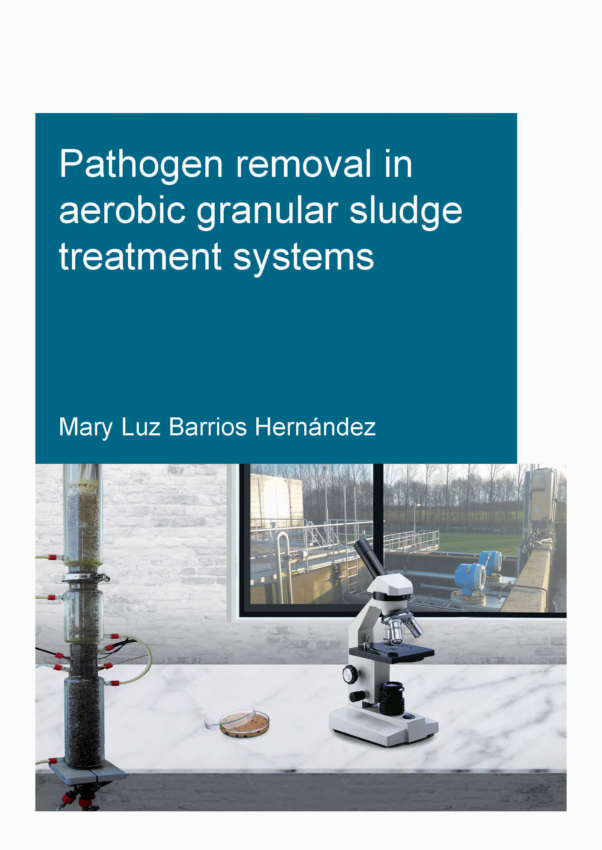 预订 pathogen removal in aerobic granular sludge treatment