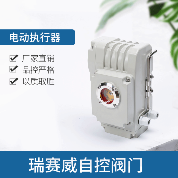rsw精小型阀门电动执行器 电动执行机构 电动驱动装置 开关05型