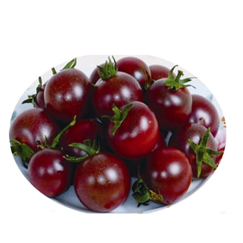 采鲜惠 东北黑珍珠番茄 巧克力西红柿 2.5kg 盘锦盐碱地柿子黑番茄