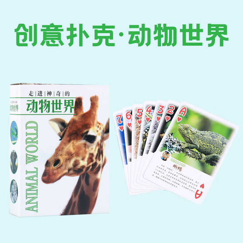 普程动物世界扑克海洋动物鸟类王国昆虫王国儿童幼儿游戏早教益智卡片