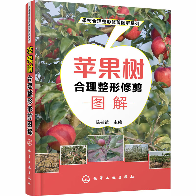 苹果树合理整形修剪图解