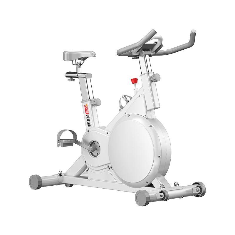 英尔健（yingerjian） 英尔健动感单车磁控车家用室内车静音房器材减肥 基础版 【物理阻力+8斤飞轮】
