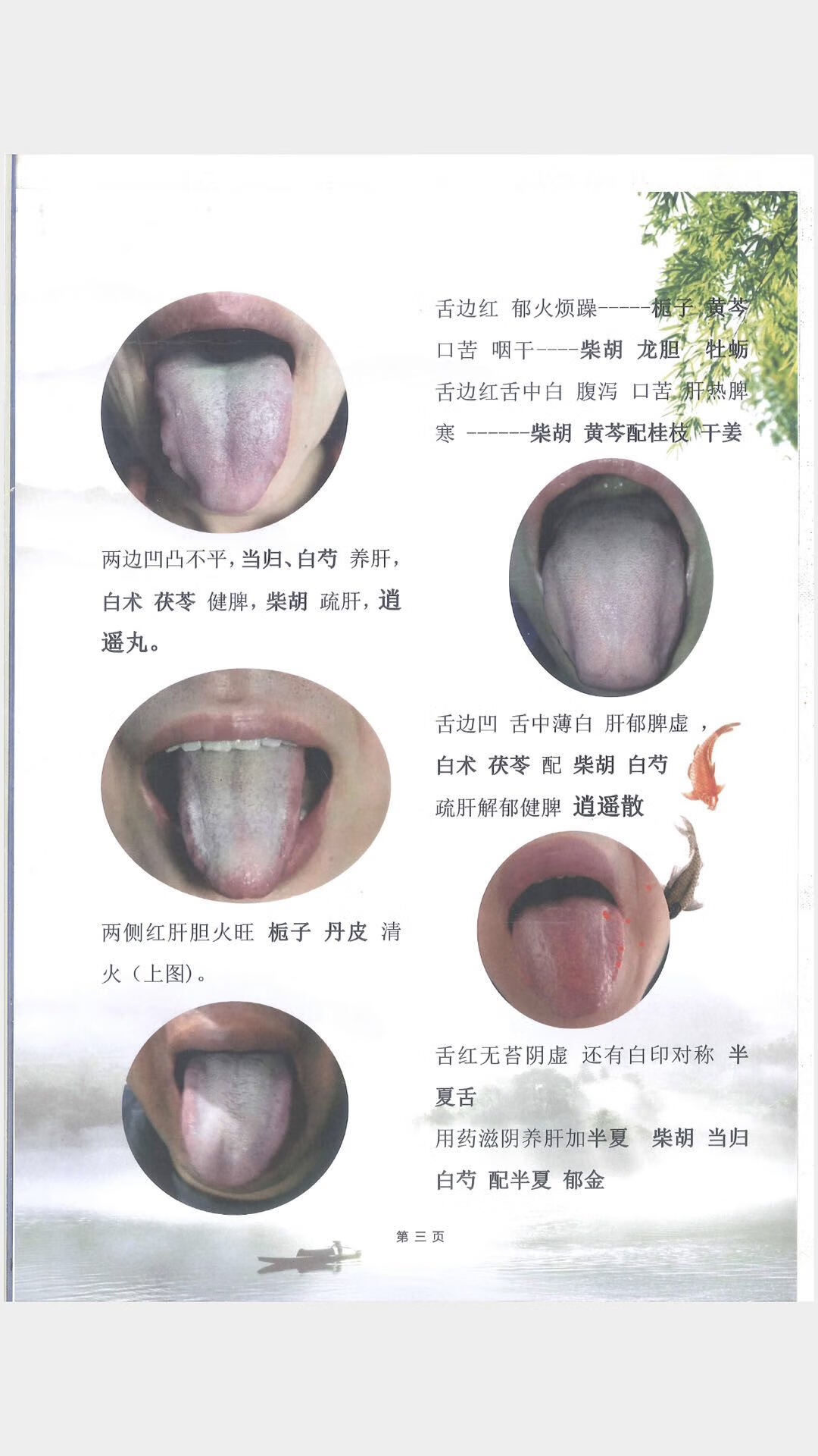 杨春虎老师舌诊诊断伤寒临证中医临证探微俩本实体书 商品 体书 商品