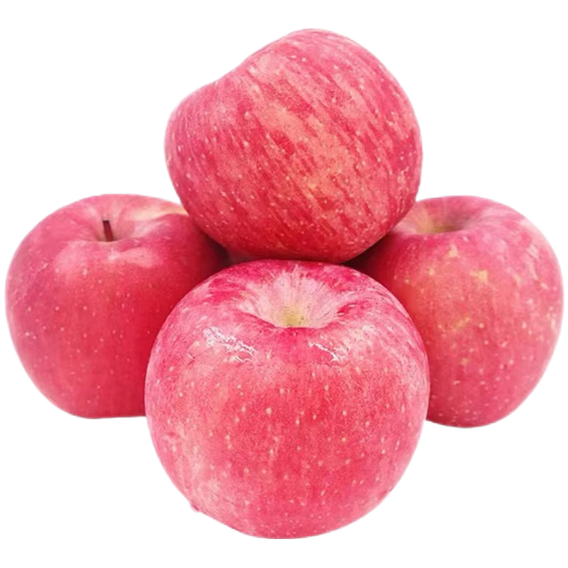 ���ڲ�������ʼɽ����̨�츻ʿƻ������ƻ������ˮ��ɽ���ز� ����4.5��װ(120g��,Լ10-12��) 20.5Ԫ