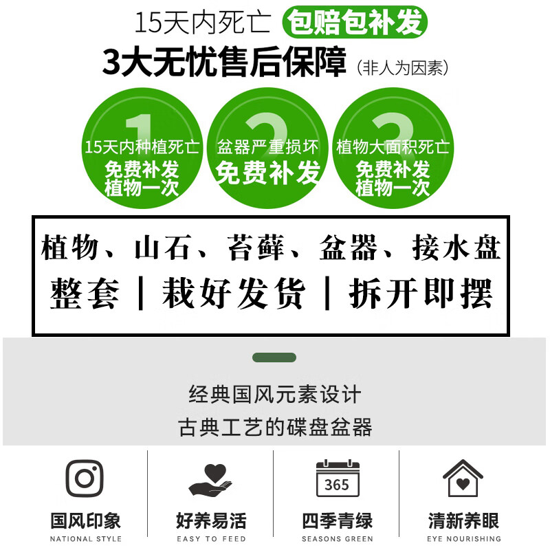九里香盆栽中式盆景悬崖造型小老桩办公室内驱蚊绿植花卉书桌植物 悬崖式九里香(紫砂盆) +木架 整套成品（山石苔藓，带盆种好）