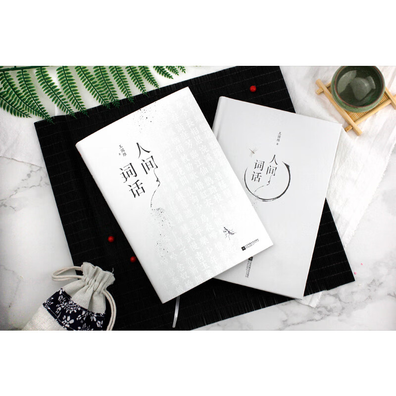 |人间词话 王国维精装双封版 国学大师的