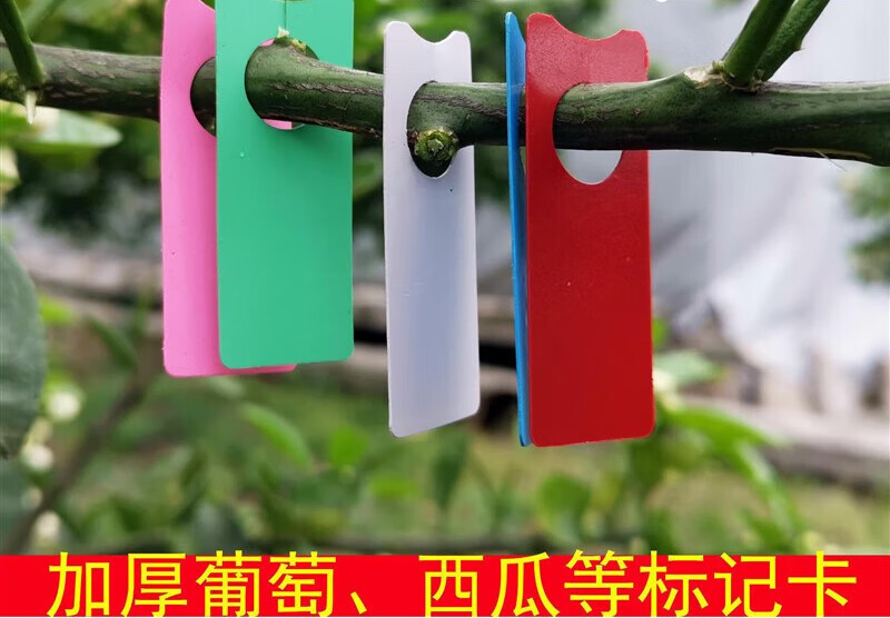 oimg植物标签葡萄记号牌葡萄标记卡瓜果标记牌西瓜标记牌月季园艺辅材