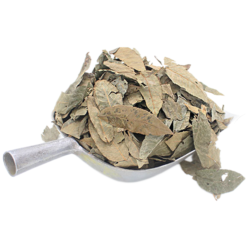 青钱柳原叶 原叶茶500g