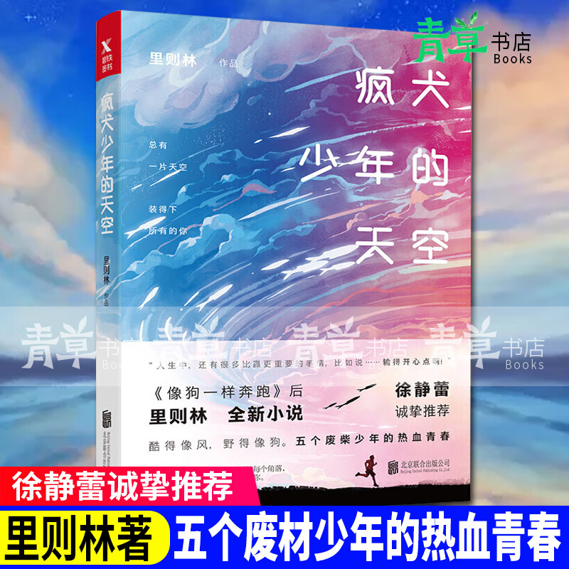 【现货速发】疯犬少年的天空 青春文学 里则林[著] 北京联合出版公司 9787559602565
