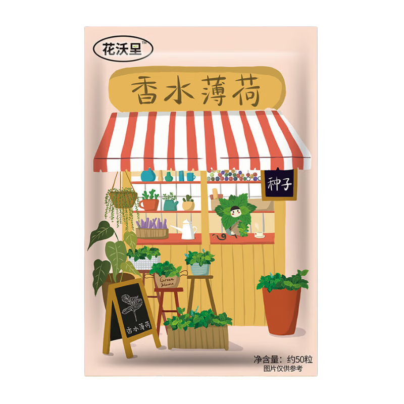 花沃里香水薄荷種子約50粒*2包 蔬菜種子家庭盆栽食用薄荷苗陽臺庭院