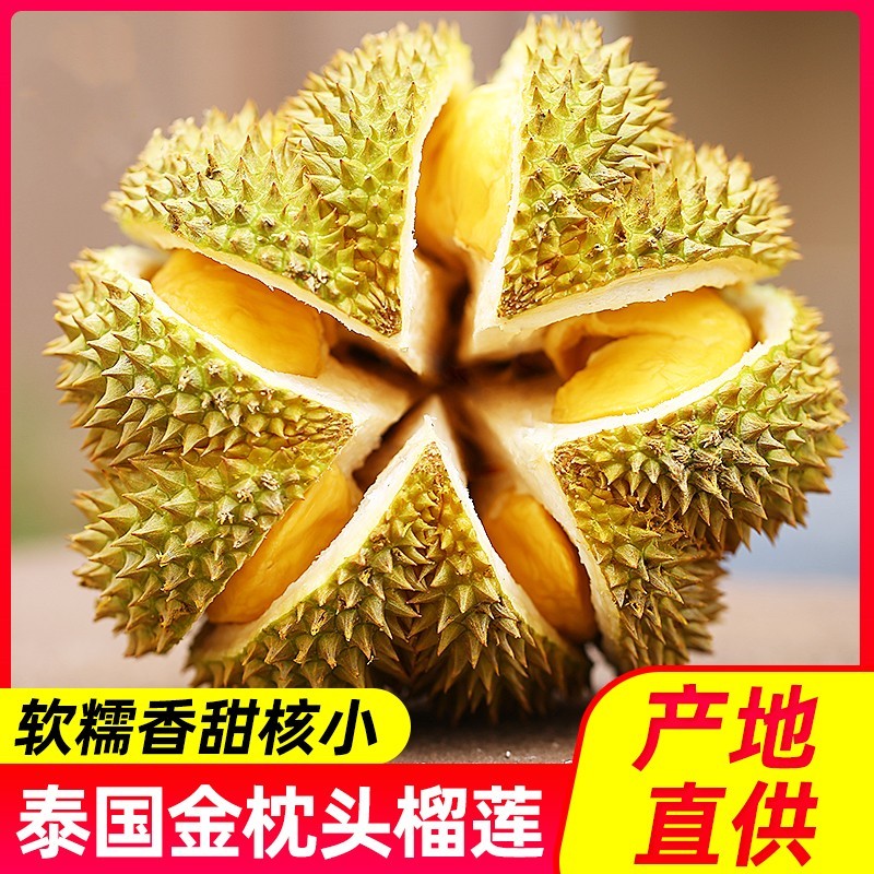 颜小荭 泰国金枕榴莲 新鲜带壳巴掌榴莲果 进口新鲜水果 8-10斤家庭装