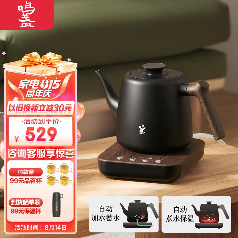 煮茶壶哪个品牌好(煮茶壶泡茶壶什么牌子质量最好)