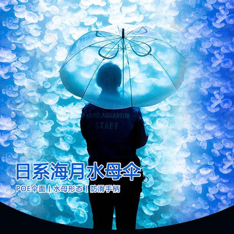 日系梦幻般海母浪漫好看特别的伞直柄水月表演雨伞 海月水母透i明伞长