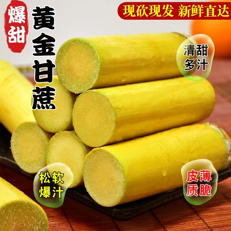 晨臻云南黄金甘蔗蜜甜脆新鲜超甜黄皮甘蔗新鲜精品南方应季水果9斤装