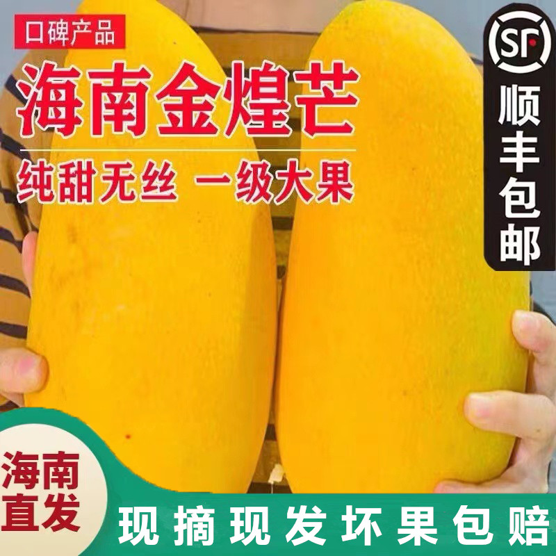 骄瑰【顺丰速运】海南三亚金煌芒果水仙芒新鲜大芒果10斤礼盒海南直发