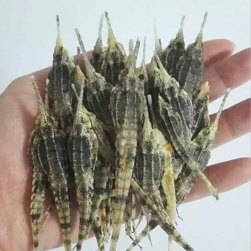 中药材特级海底麻雀干货海燕汤包咽喉肿痛泡酒煲汤 10克