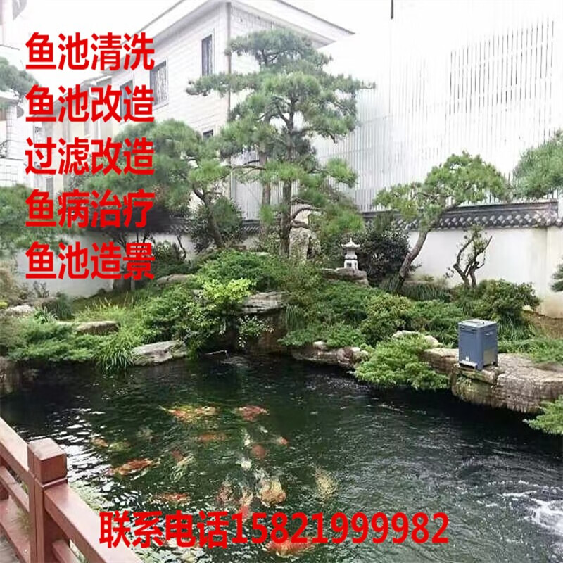 上海上门服务鱼池清洗造景过滤改造锦鲤鱼病治疗定期维护
