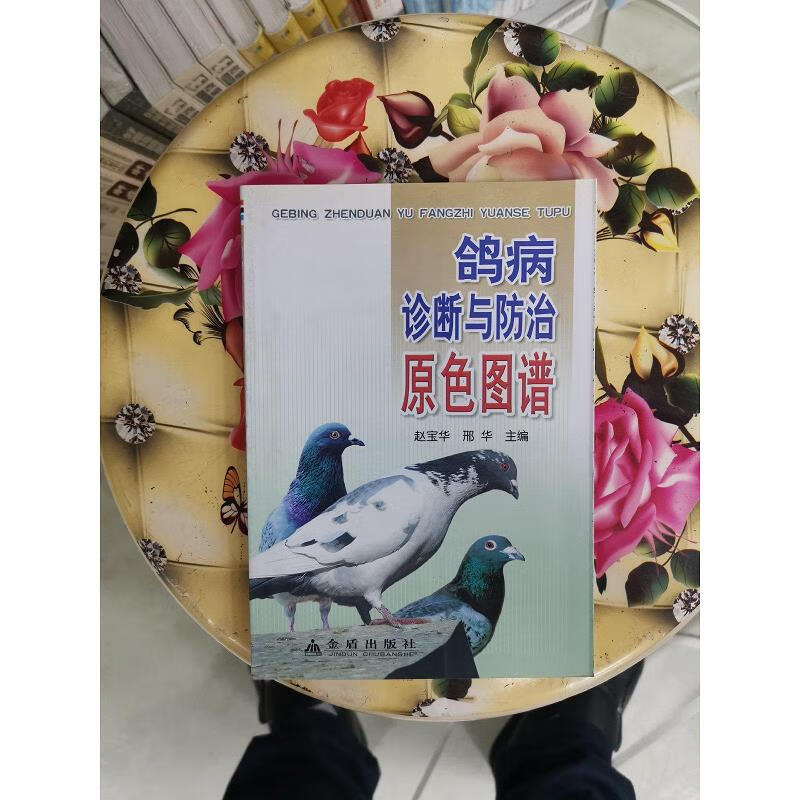 【正版】鸽病诊断与防治原色图谱 金盾出版社9787508268934