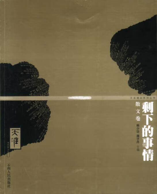 剩下的事情【正版书籍,畅读优品】