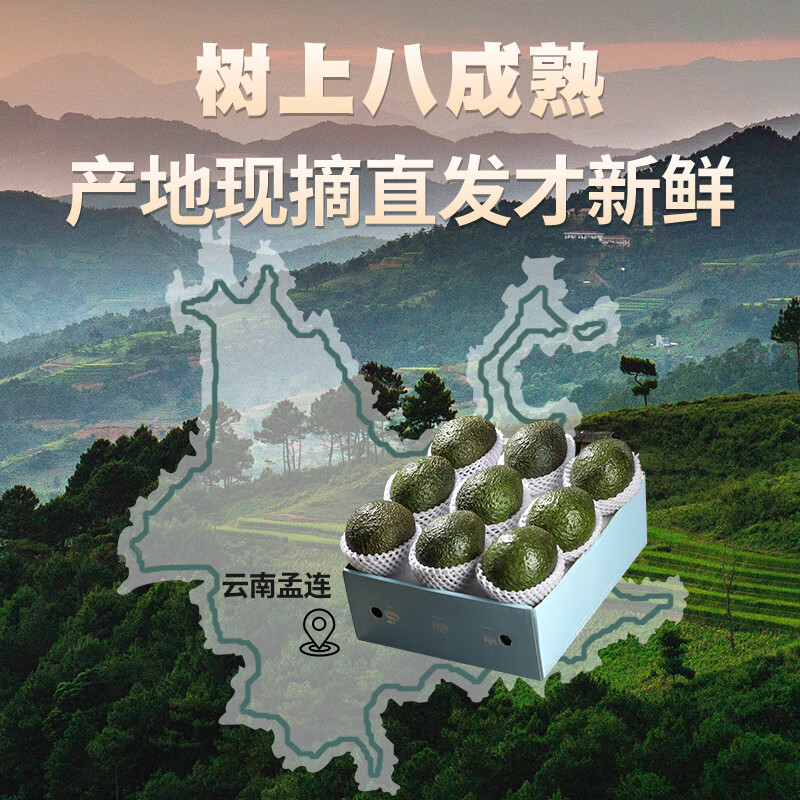 译优农【不熟包赔】云南孟连哈斯牛油果新鲜水果国产鳄梨大果健康轻食 8粒【单果100-130g】实惠中果