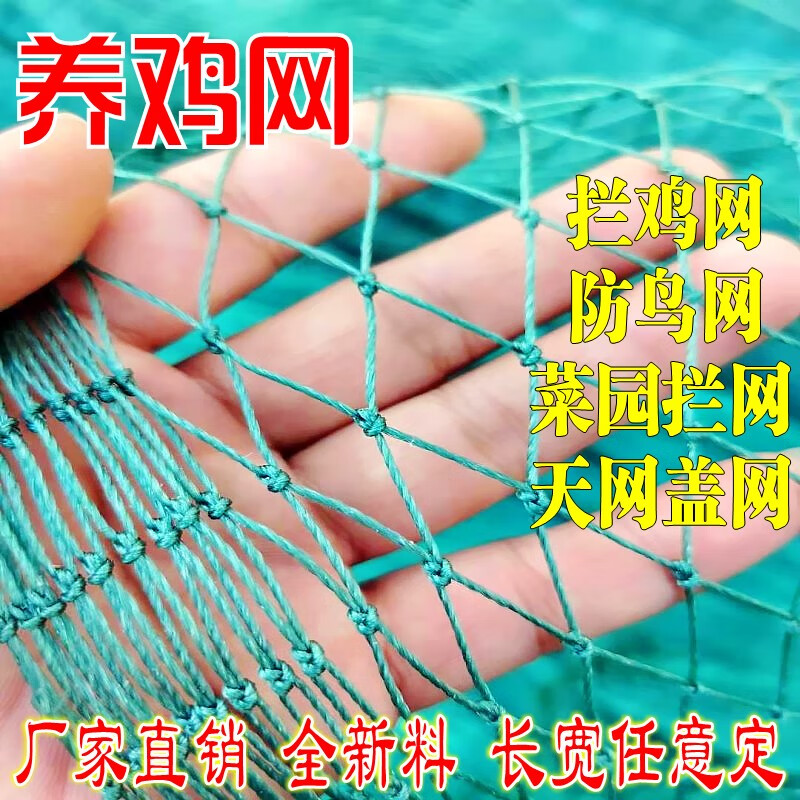圍網(wǎng)養(yǎng)雞網(wǎng)養(yǎng)殖圍網(wǎng)雞網(wǎng)攔雞網(wǎng)尼龍網(wǎng)家禽安隔離網(wǎng)菜園圍欄防護(hù)網(wǎng) 1.5米高10米長含20米繩 12股3厘米網(wǎng)孔