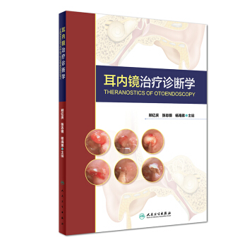 耳内镜治疗诊断学