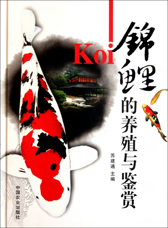 锦鲤的养殖与鉴赏(精)